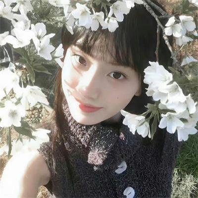 沙普的鹰饰